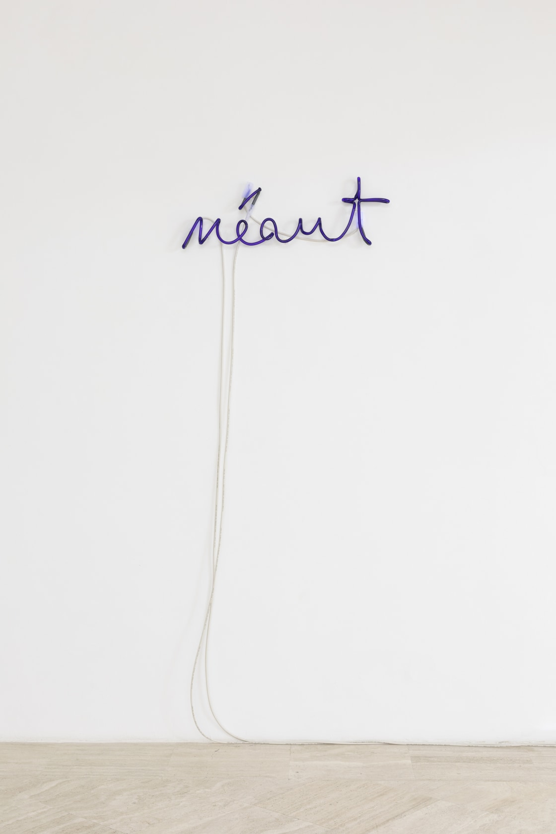 Néant, 2017 Neon 32 x 72 x 4 cm Photo © Daniele Molajoli