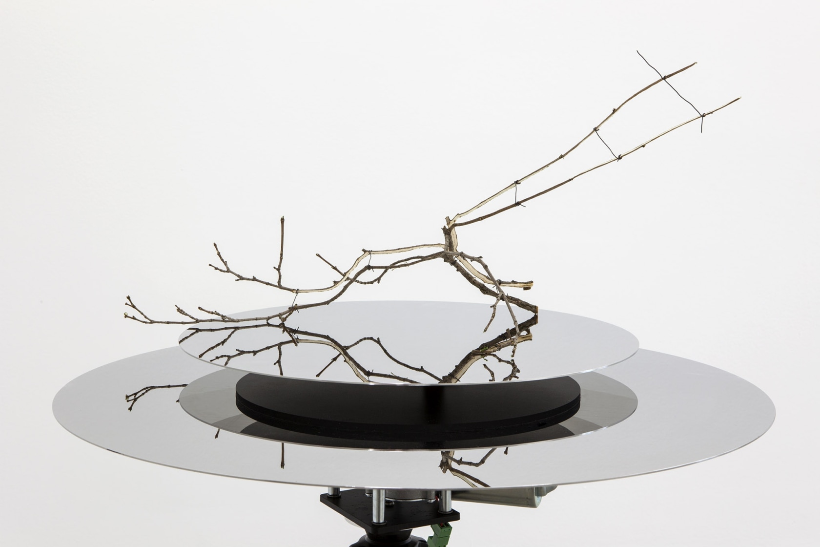 Rotating Table 2, 2015 (detail) Mirrored-finish polished stainless steel disc, motor, control unit, electric wire, tree branch, tripod The horizontal...
