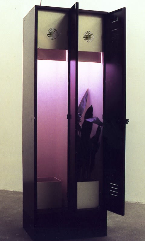 Angela Bulloch, Aspidistras In Alphaville: Binary System, 1999. Exhibition view: Space, Schipper & Krome, Berlin, 1999. Photo © Carsten Eisfeld