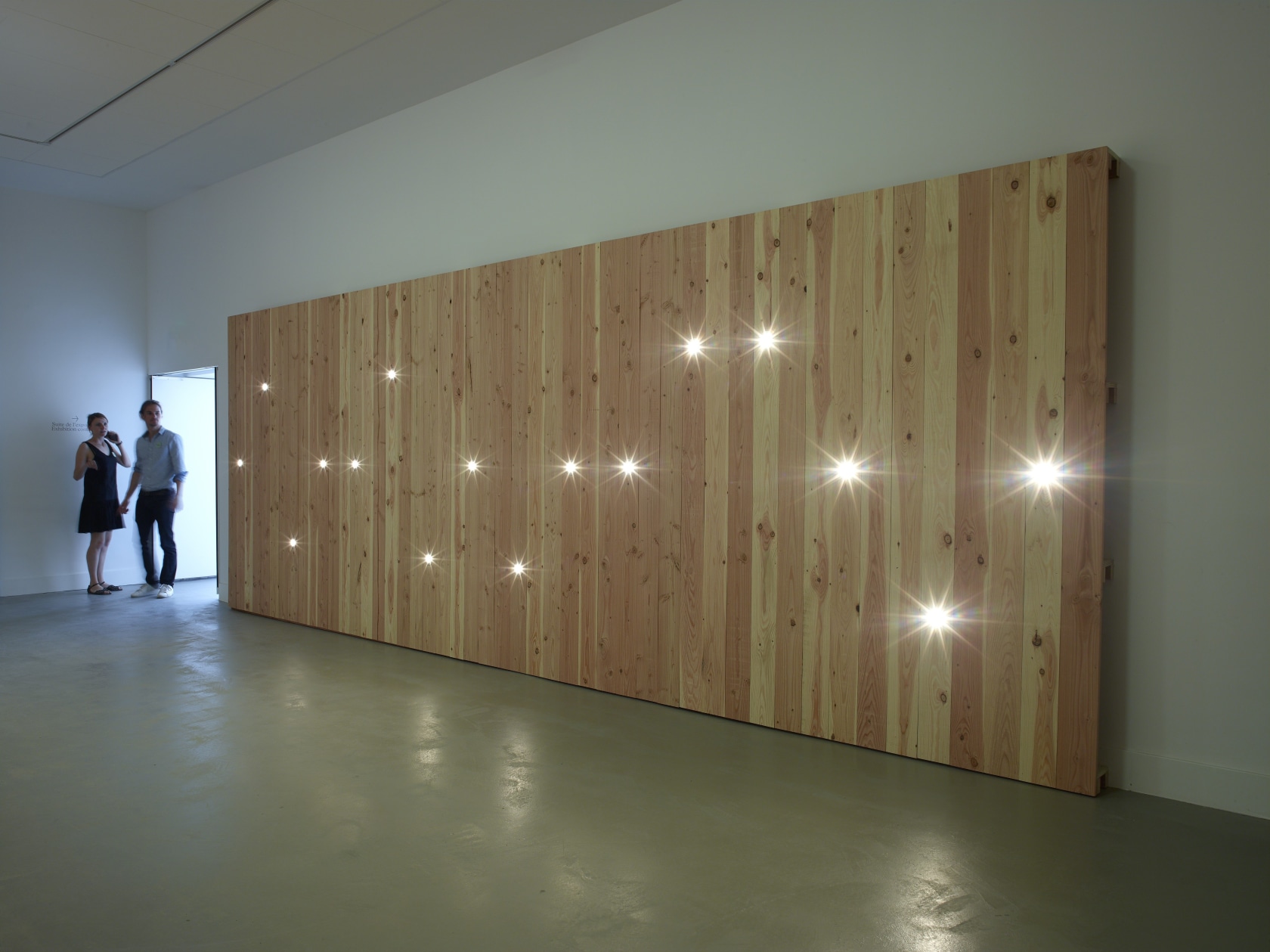 Liam Gillick Development Wall, 2016 Wood, LED lamps, fittings, wiring Photo © Marc Domage