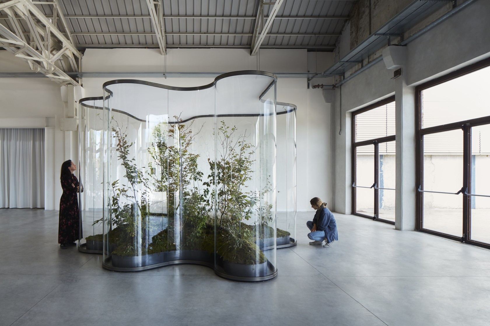 A Transparent Leaf Instead Of The Mouth, 2016-2017 Glass, metal, ecosystem with stick and leaf insects 250 x 500 x...