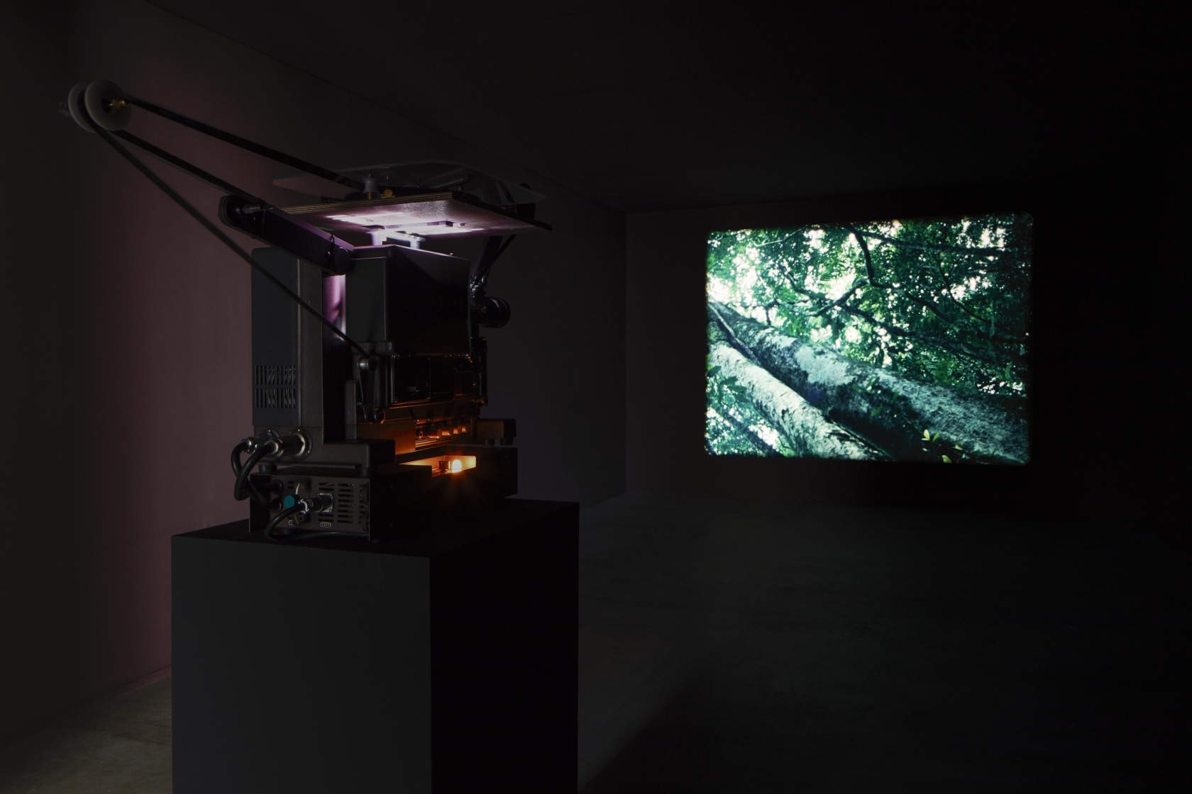 Spiral Forest Gimbal (Kingdom Of All The Animals And All The Beasts Is My Name), 2014-2015 Custom-made Gimbal camera, 16...