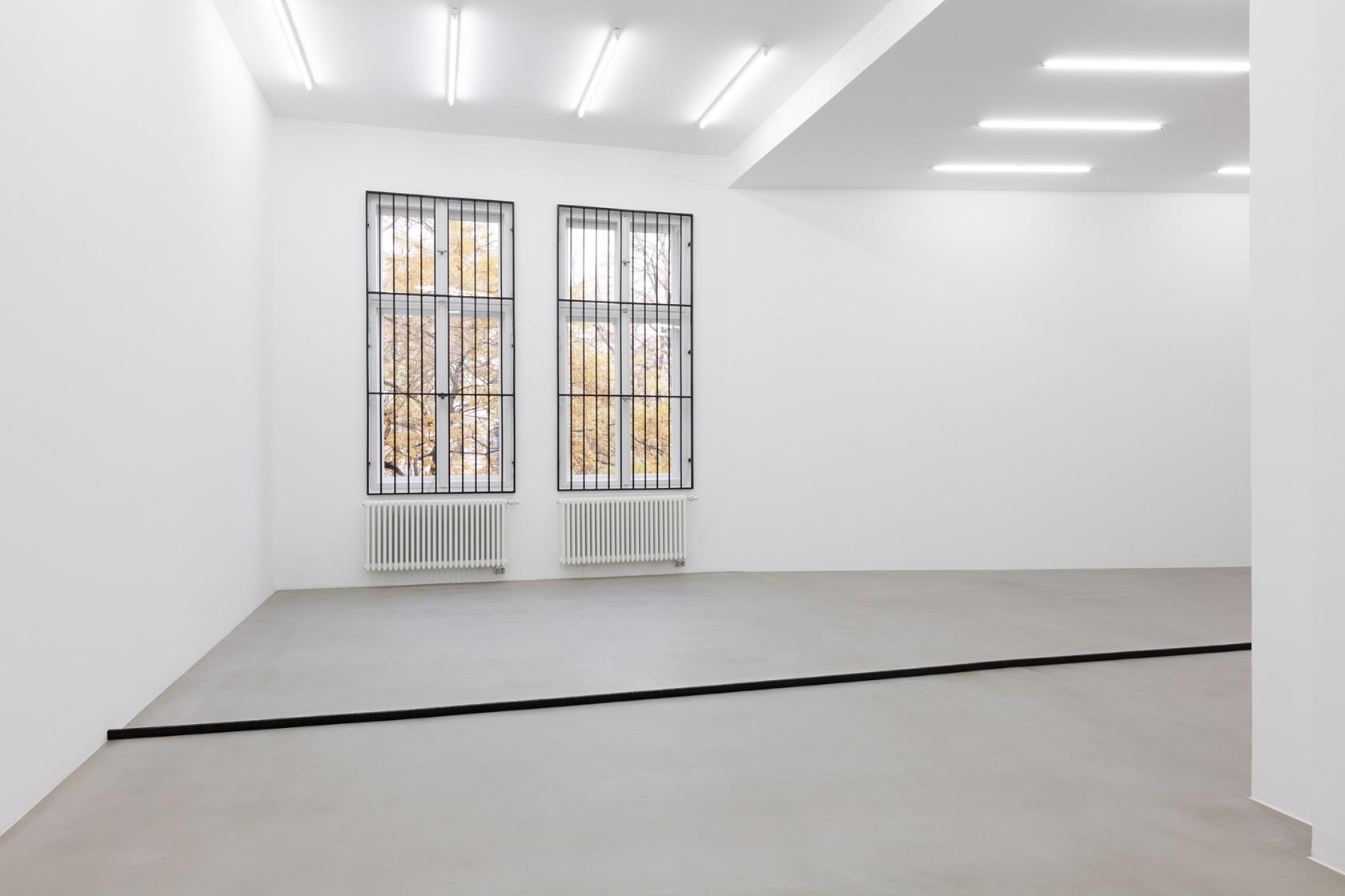 Bars, 2015 (background) Powder coated steel In a characteristic reversal of boundaries, the artist has installed bars generally found on...