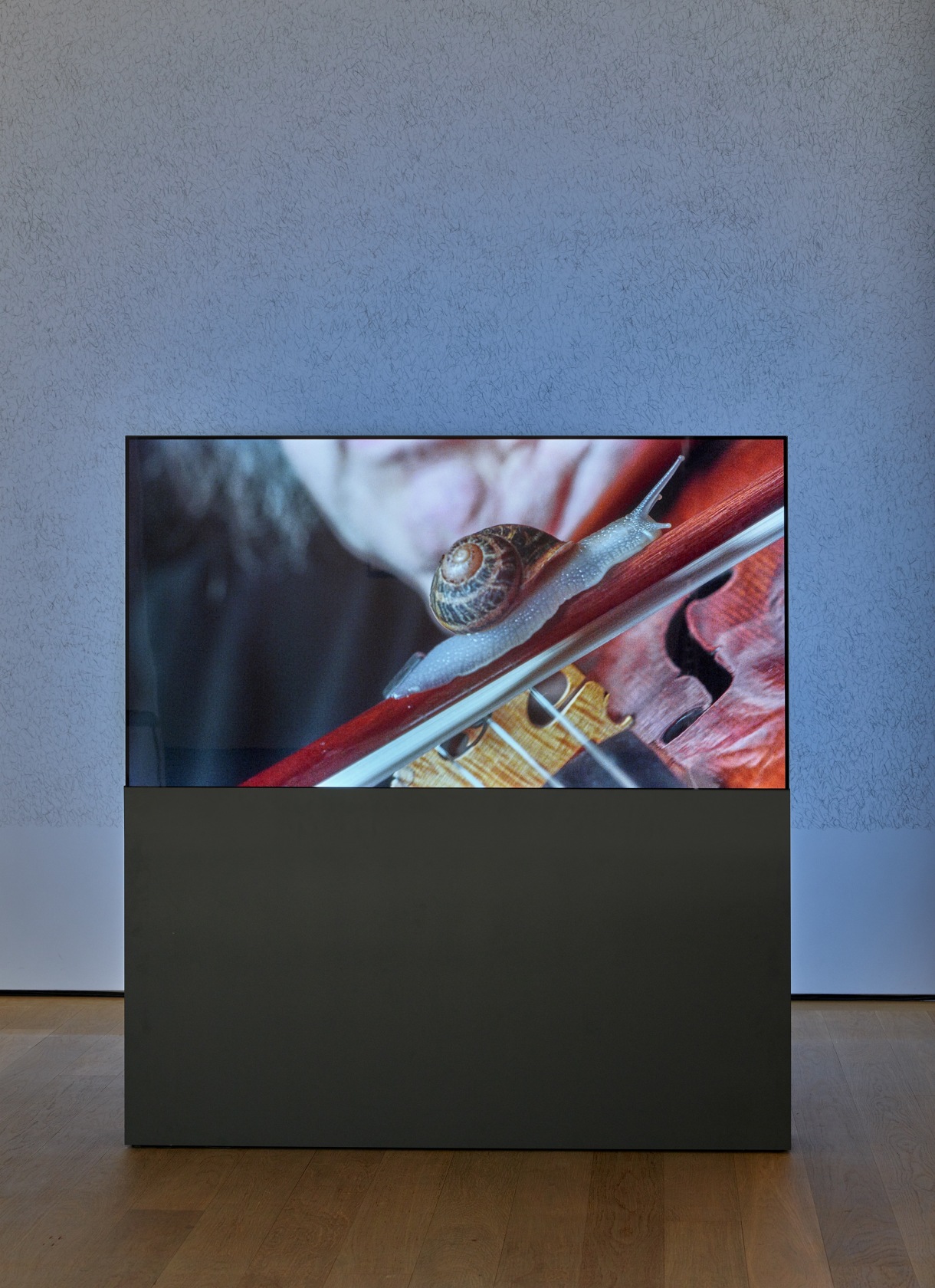 If and Only If, 2018 Two channel HD video and discrete surround sound installation, color Duration: 9:47 min © VG...