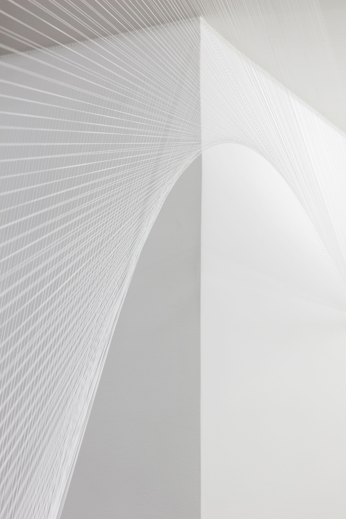 Hyperboloïde VIII, 2016 Thread, nails The architectural intervention connects different rooms. The threads originate from an ornamental floral pattern created...