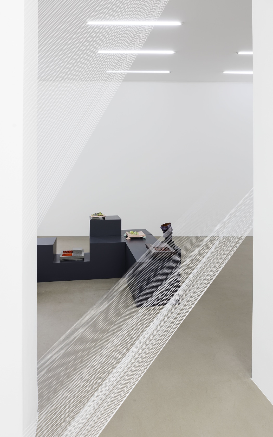 Hyperboloïde VIII, 2016 (detail; front) Thread, nails The architectural intervention connects different rooms. The threads originate from an ornamental floral...