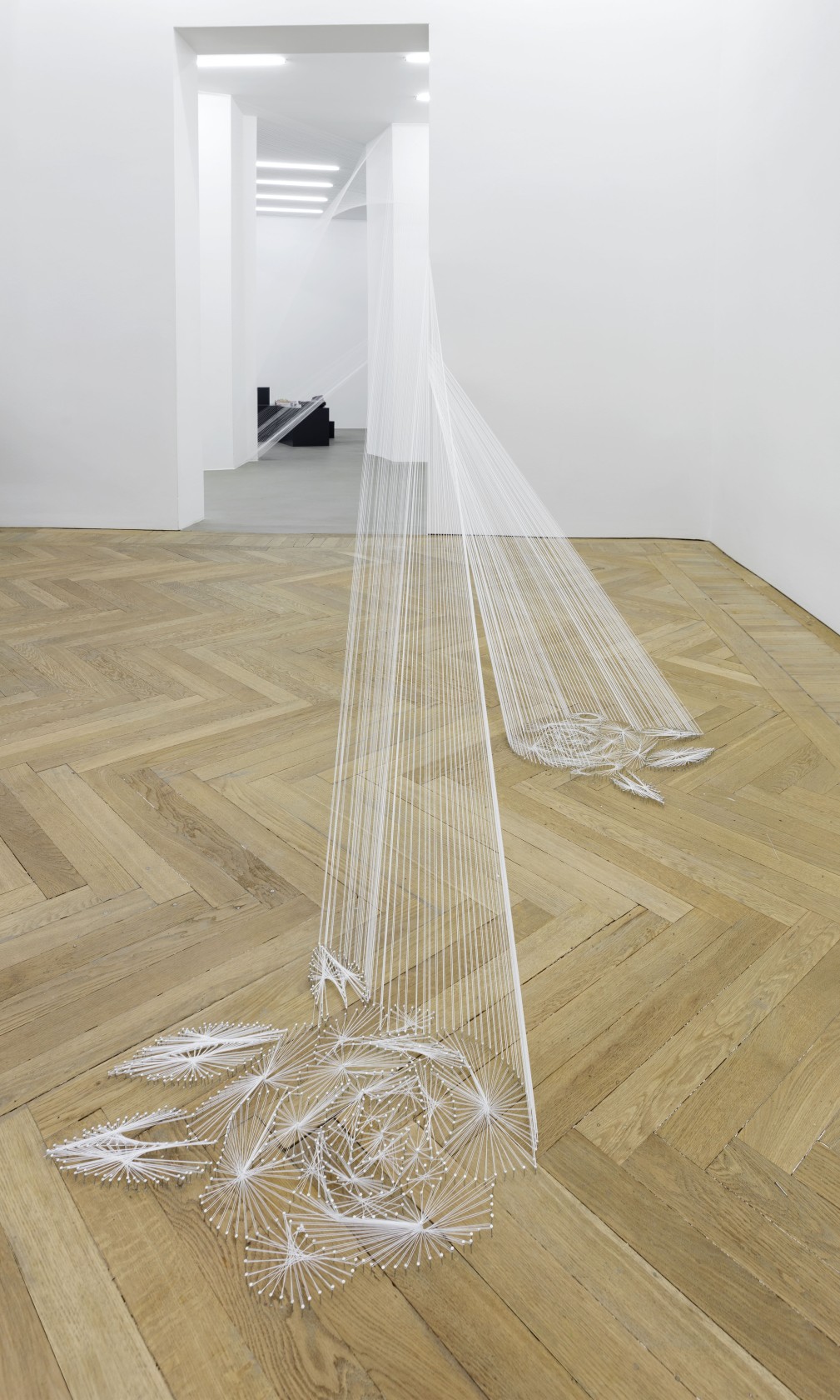 Hyperboloïde IX, 2016 (detail) Thread, nails The architectural intervention connects different rooms. The threads originate from an ornamental floral pattern...
