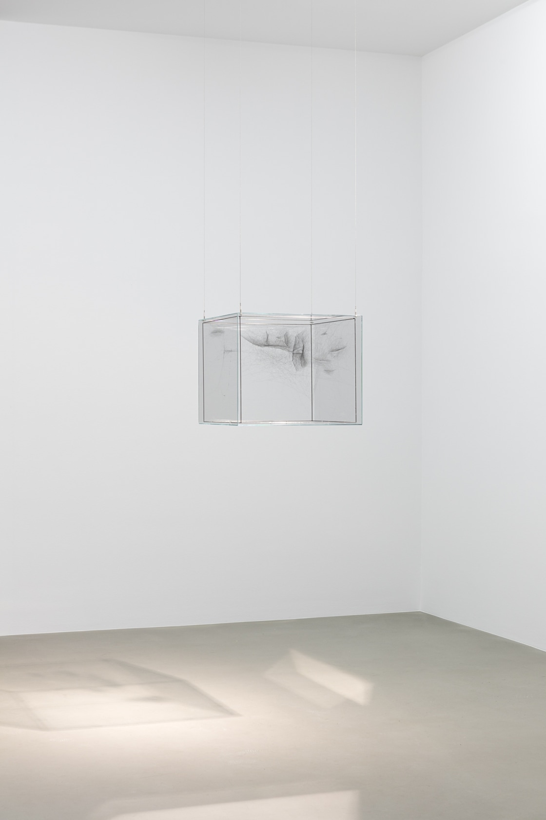 Hybrid Solitary Semi-Social Instrument ESO 146-IG 005: Built By Two Argiope Anasuja-Two Weeks, Three Cyrtophora Citricola-Three Weeks, One Cyrtophora Moluccensis-Two...