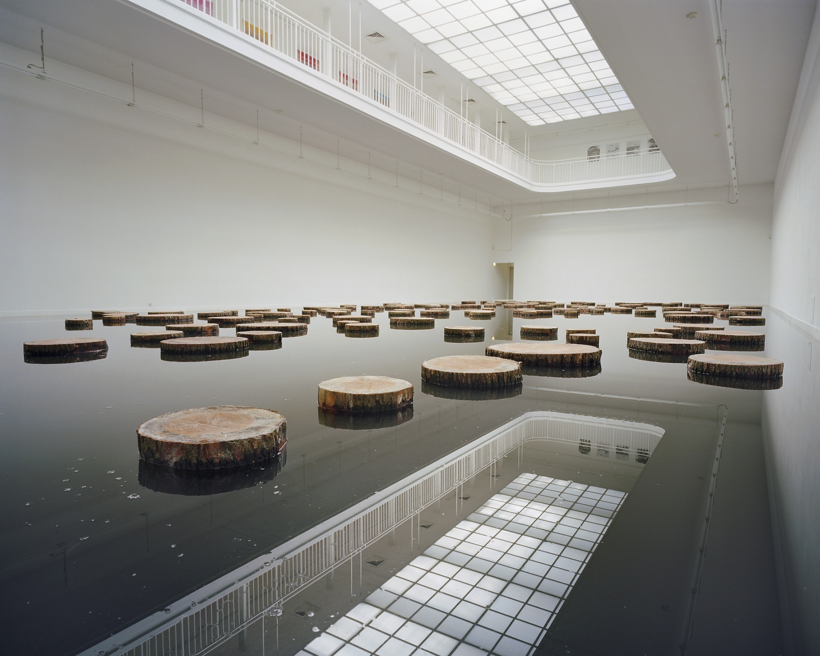 S.R., 2003-2005 Foil, water, tree discs Photo © Bernhard Strauss