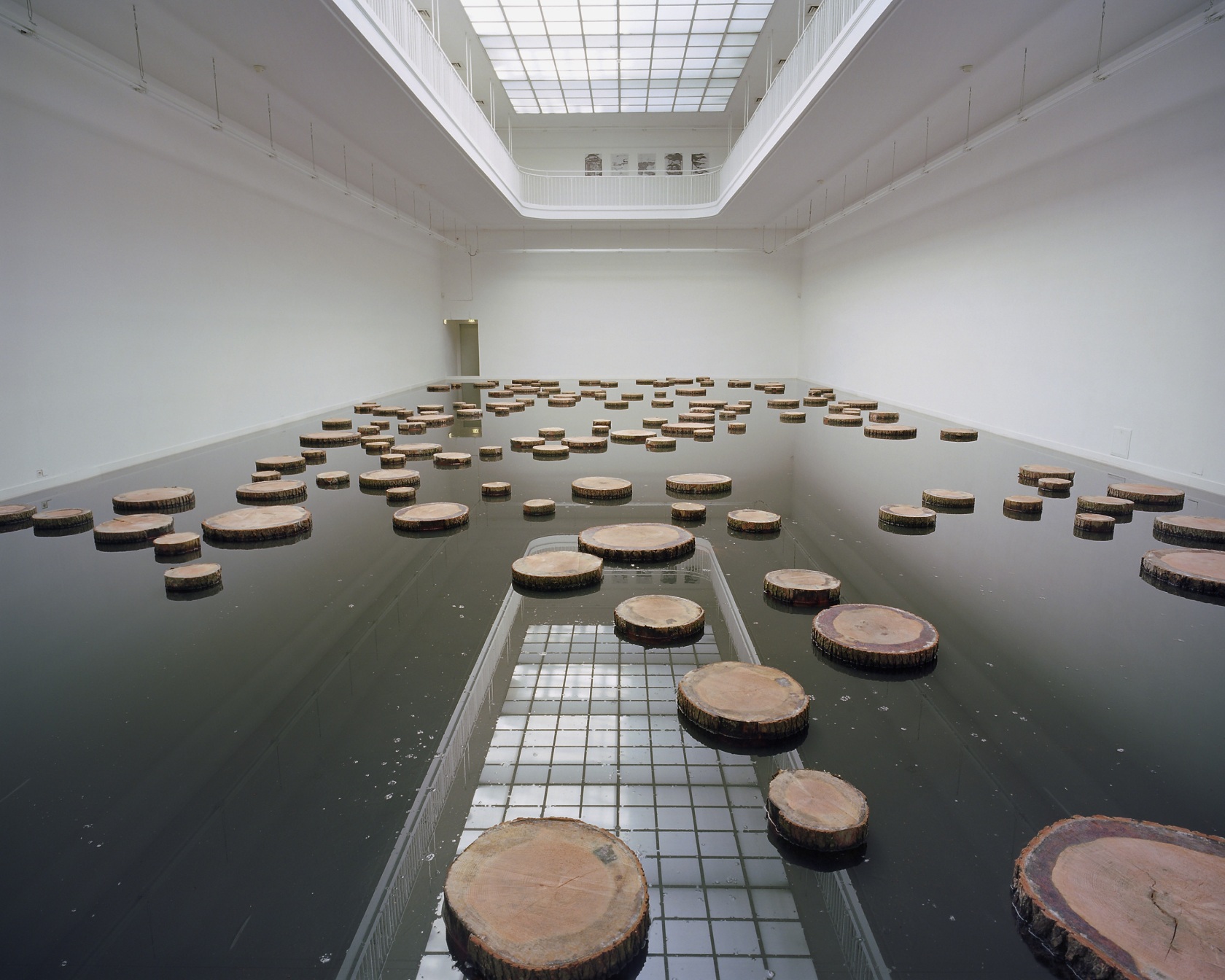 S.R., 2003-2005 Foil, water, tree discs Photo © Bernhard Strauss