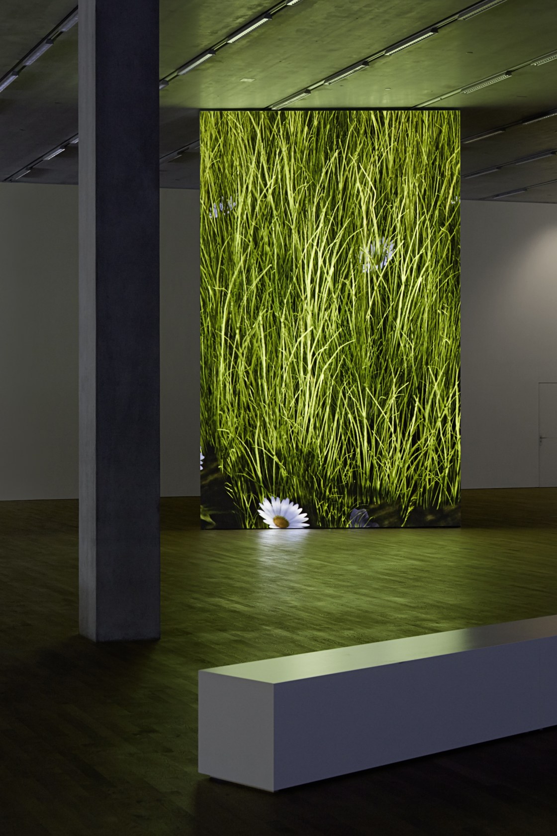 Olympia (The Real Time Disintegration Into Ruins Of The Berlin Olympic Stadium Over The Course Of A Thousand Years), 2016...