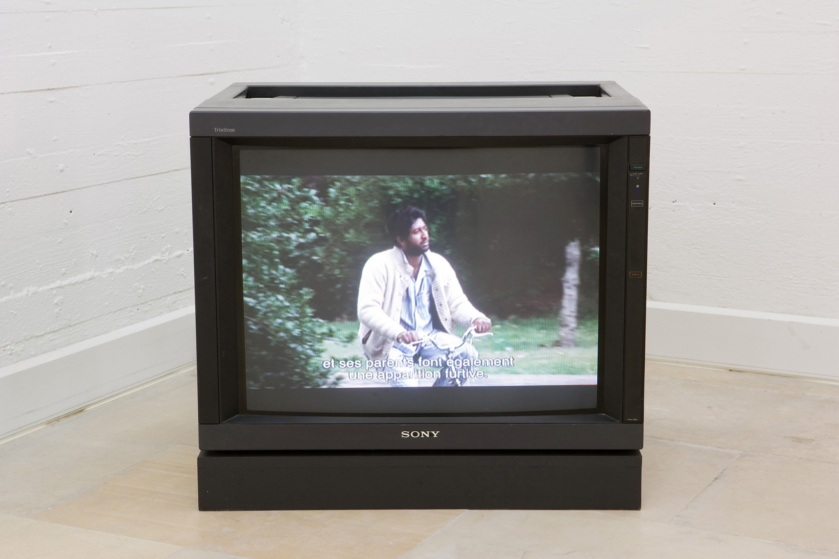 Exhibition view The Die Is Cast, 2009 Villa Arson, Nice Photo © Jean Brasille