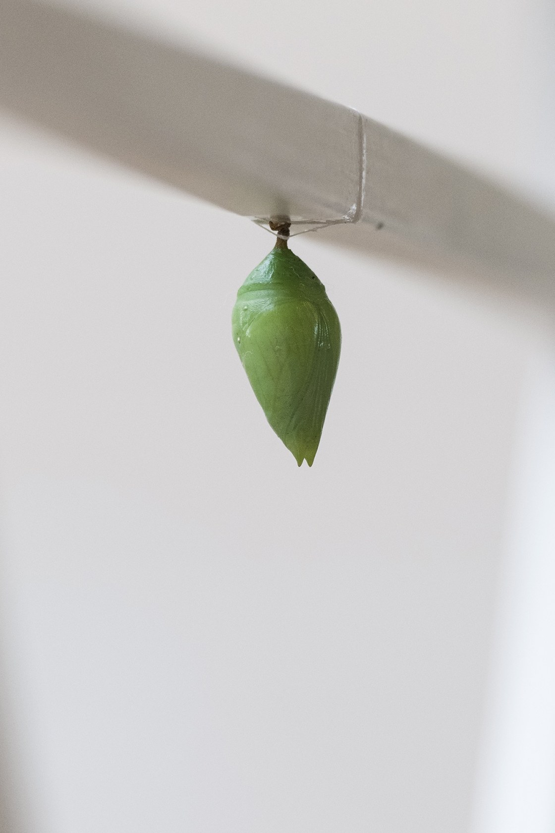 Exhibition view: -’— –‘-, Fundació Tàpies, Barcelona, 2018 Photo © Roberto Ruiz