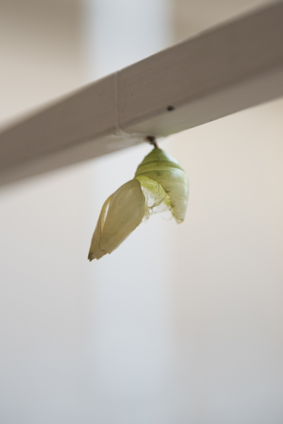 Exhibition view: -’— –‘-, Fundació Tàpies, Barcelona, 2018 Photo © Roberto Ruiz