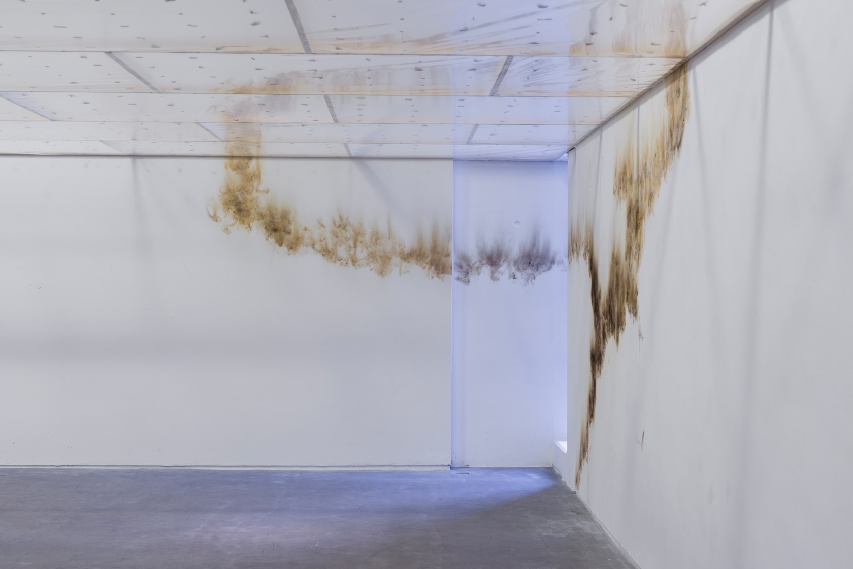 chart, 2020 Smoke drawing on wall Dimensions variable Photo © Louis Haugh