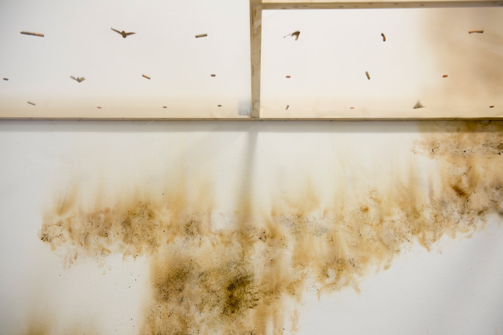 Exhibition view: Gabriel Kuri, spending static to save gas, The Douglas Hyde Gallery, Dublin, 2020 Photo © Louis Haugh