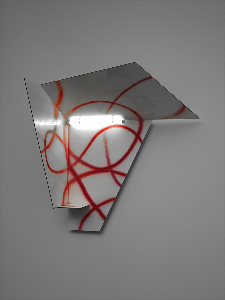 Exhibition view A Lost Cate and Alleyways, Back Gardens, Pools and Parkways, 2007 Centre d'art contemporain, Genève Photo © Ilmari...