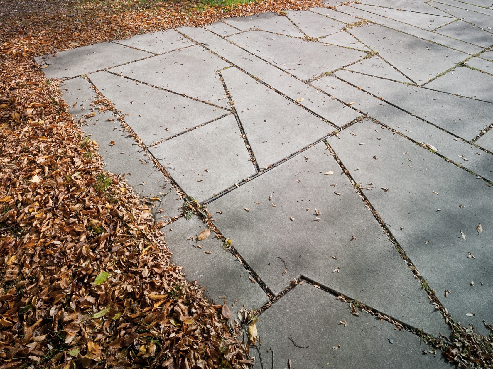 Exhibition view, We Are Still and Reflective, Münster Sculpture Project, 2007 © Roman Mensing