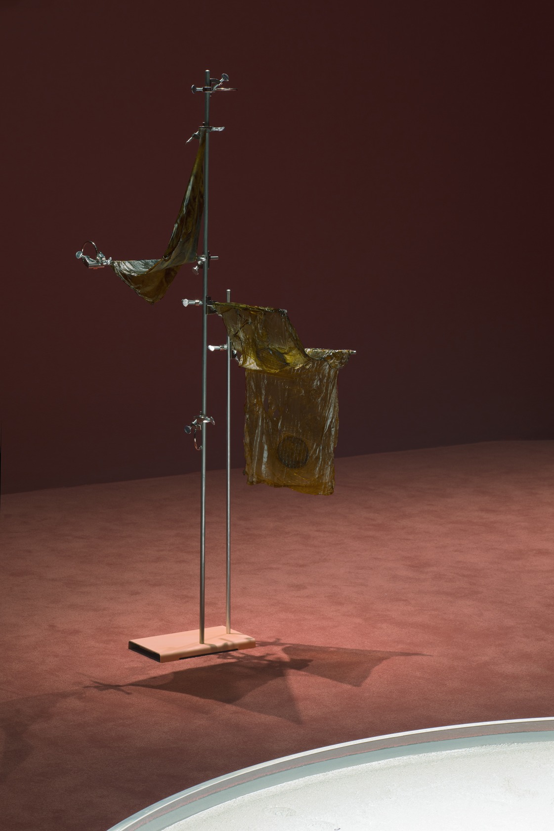 Exhibition view: Anicka Yi: 6,070,430K of Digital Spit, List Visual Arts Center, MIT, Cambridge, 2015. © Anicka Yi / VG...