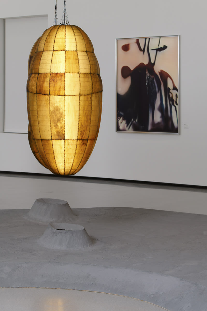 Exhibition view: Avant l'orage, Bourse de Commerce – Pinault Collection, Paris, 2023. © Anicka Yi / VG Bild-Kunst, Bonn 2023....