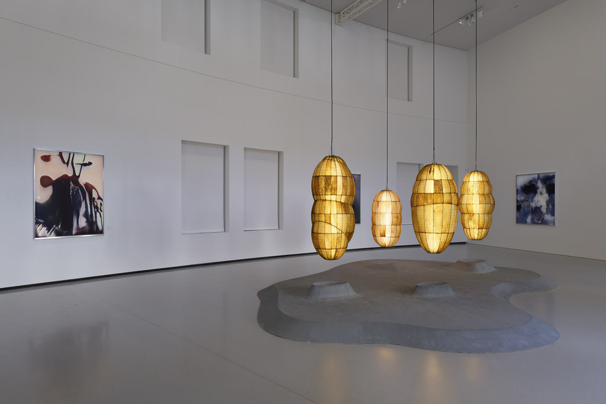 Exhibition view: Avant l'orage, Bourse de Commerce – Pinault Collection, Paris, 2023. © Anicka Yi / VG Bild-Kunst, Bonn 2023....