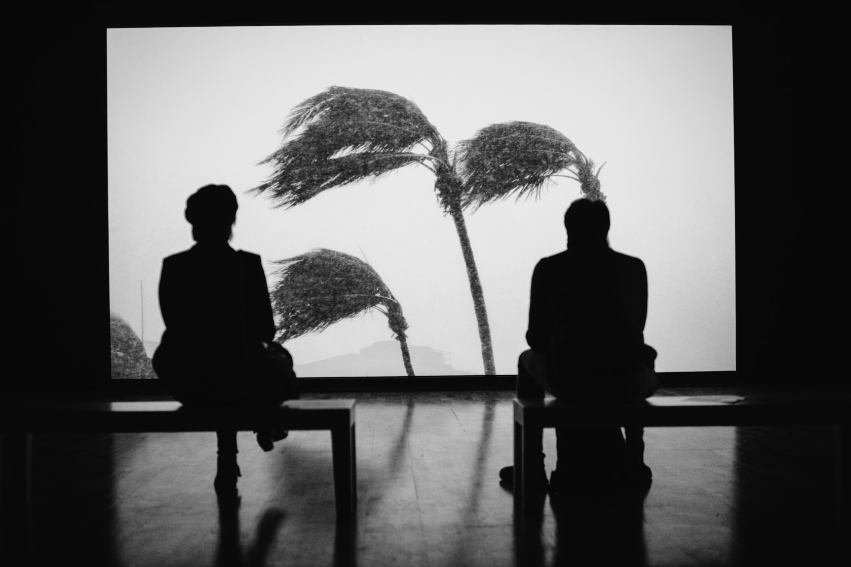 Exhibition view: Julius von Bismarck, Gewaltenteilung, Städtische Galerie Wolfsburg, 2017. Photo © Kristina Bauer