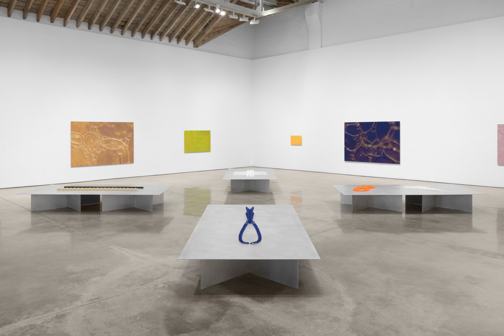 Installation view, Tauba Auerbach: Free Will, Paula Cooper Gallery, New York, March 18 - April 22, 2023. © Tauba Auerbach....