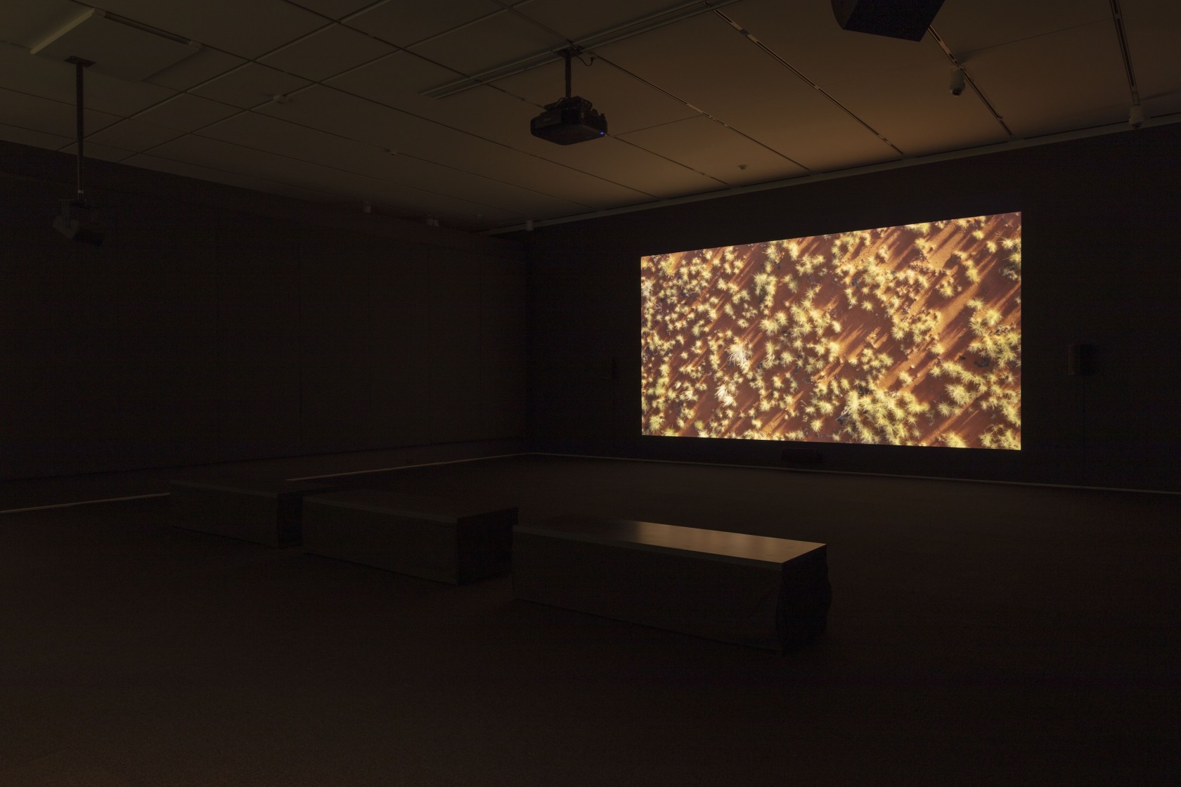 Exhibition view, Tuan Andrew Nguyen, We Were Lost in Our Country, Art Institute of Chicago, September 5, 2025 - March...