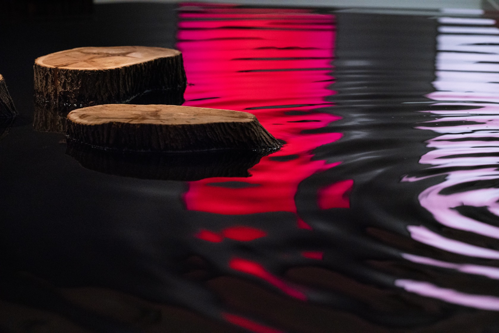 Matti Braun, S.R., 2003-2005 (detail), foil, water, tree discs, dimensions variable. Exhibition view: Matti Braun, A Lost Future, Rubin Museum...