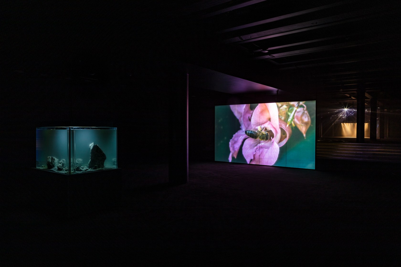 Exhibition view: Pierre Huyghe, Offspring, Kunsten Museum of Modern Art, Aalborg, 2022. © the artist / VG Bild-Kunst, Bonn. Photo...