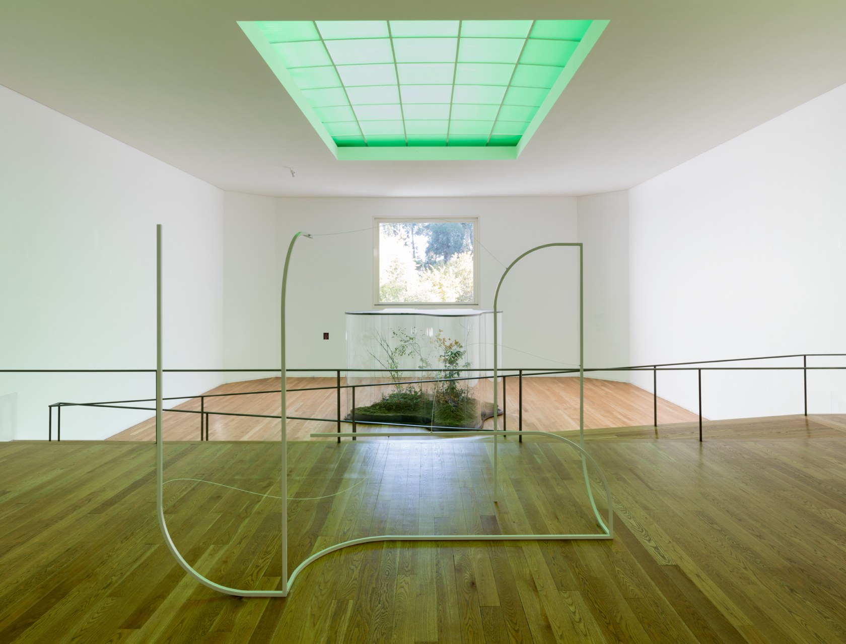 Exhibition view: Daniel Steegmann Mangrané, A Transparent Leaf Instead of the Mouth, Museu de Arte Contemporânea de Serralves, Porto, 2018....