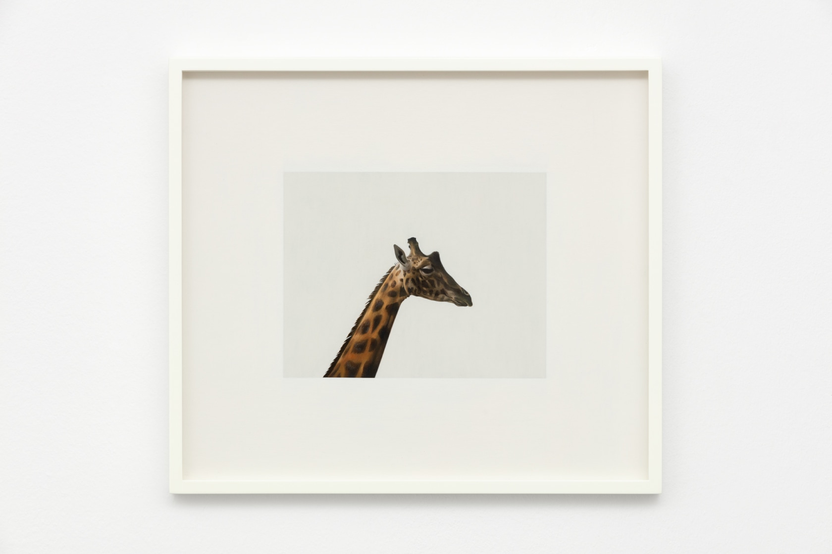 Andrew Grassie, Giraffe, 2020. Photo © Andrea Rossetti