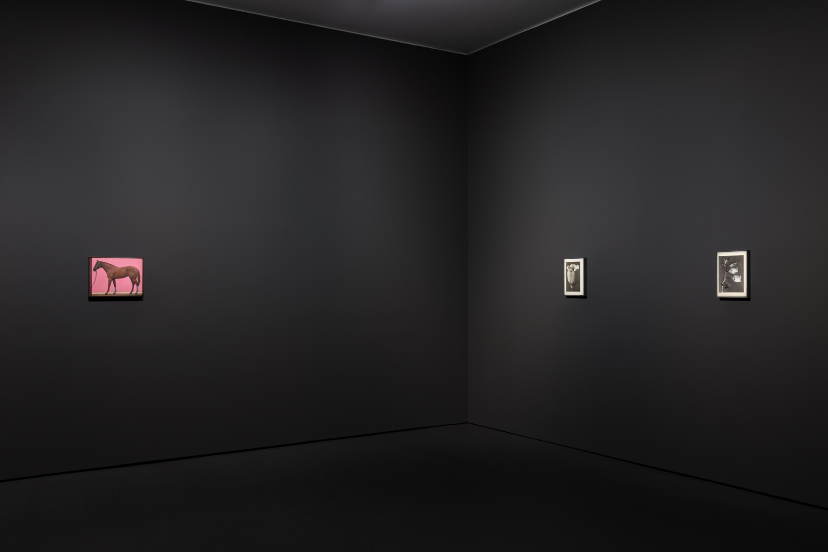 Left: Liu Ye, Cuadra san Cristobal, 2020. Centre: Liu Ye, Book Painting No. 22 (Karl Blossfeldt, Wunder in der Natur,...