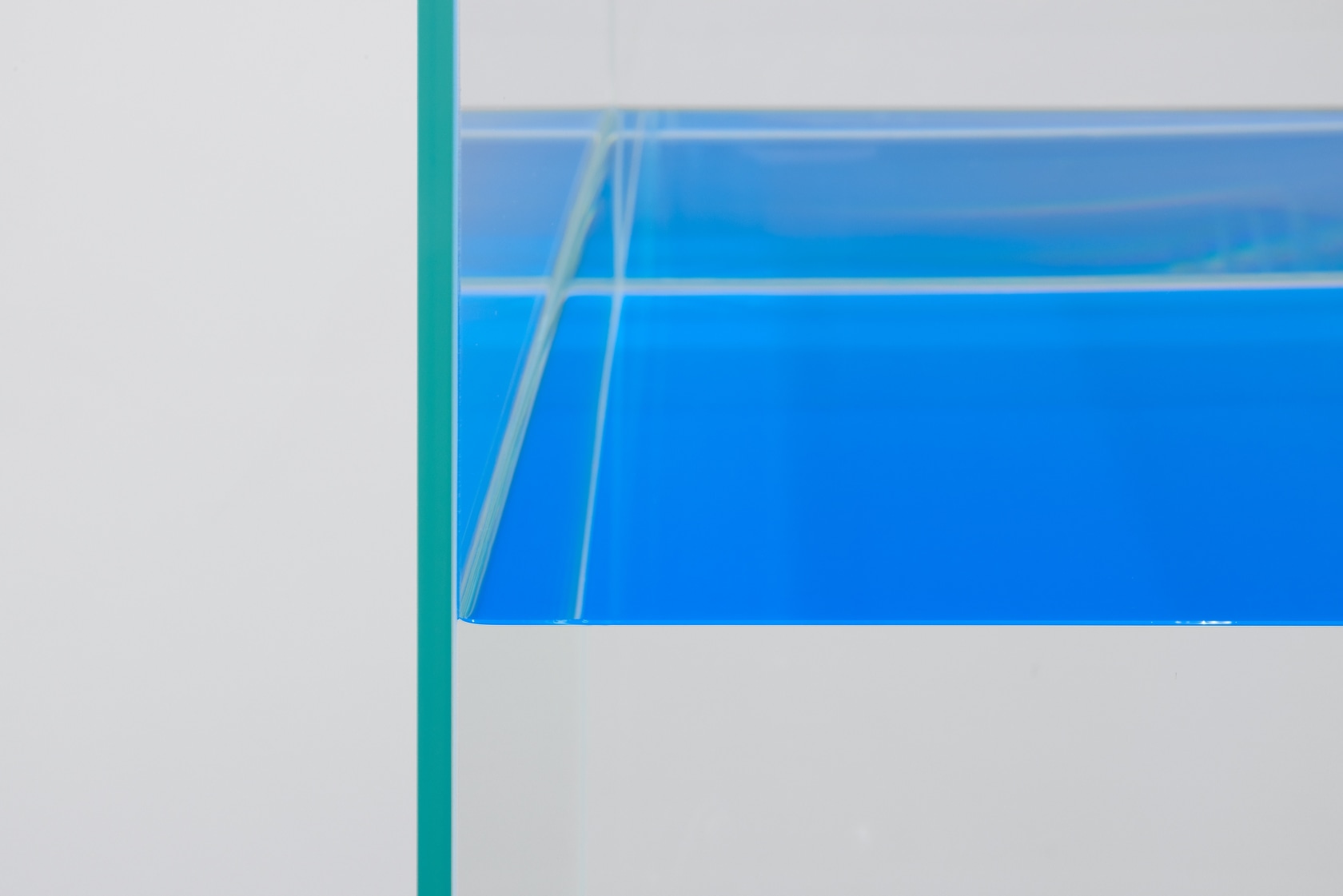Ann Veronica Janssens Blue Papegaai, 2010–2017 (detail) Glass, paraffin oil, fluo serigraph, wooden base 60 x 60 x 60 cm...