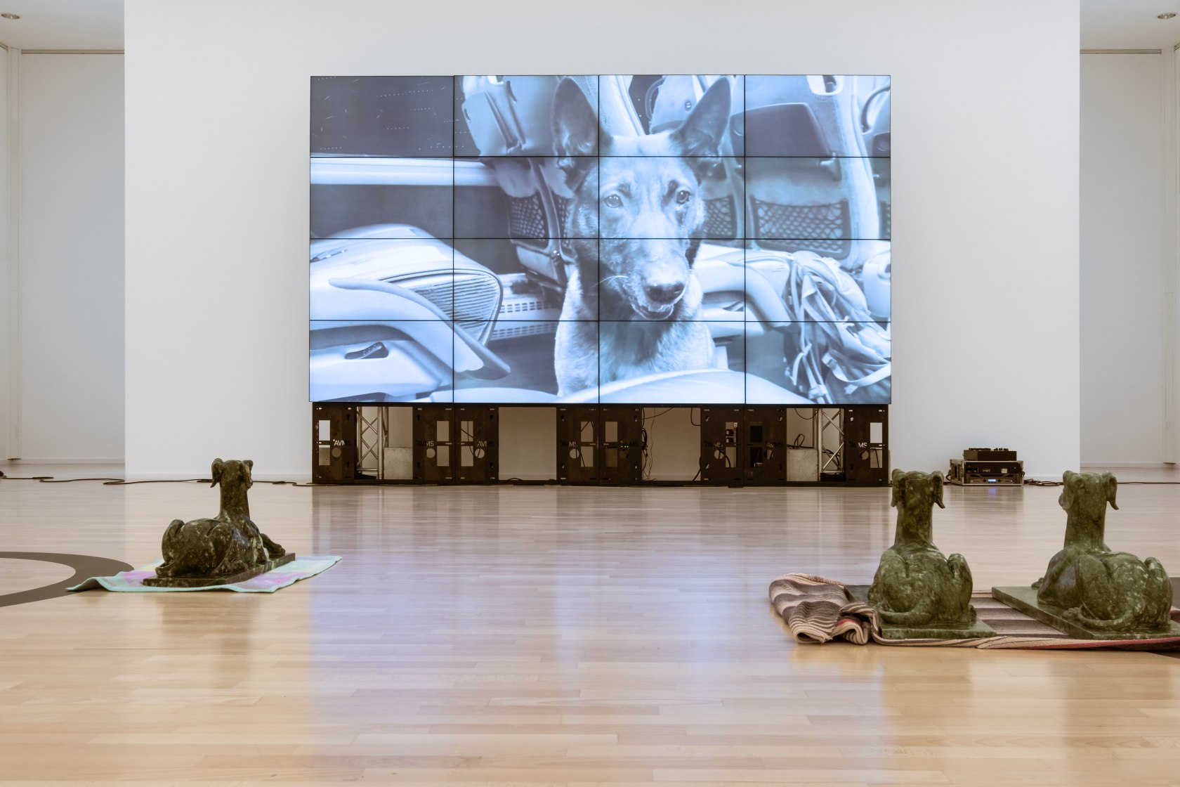 Exhibition view: Julia Scher, Planet Greyhound, Kunsthalle Gießen, Gießen, 2022. Photo © Rolf K. Wegst