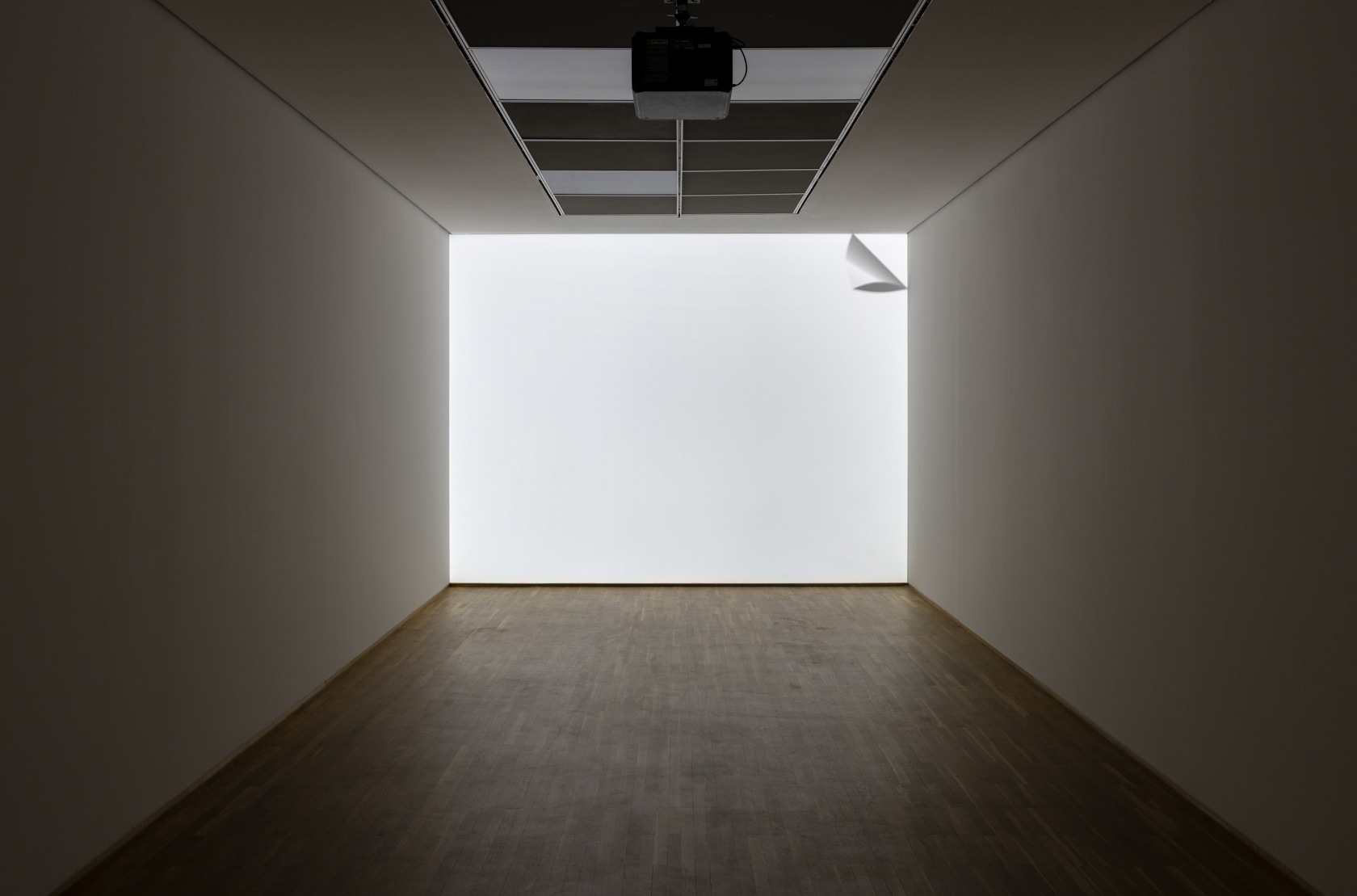 Ceal Floyer, Peel, 2003 DVD-projection/installation (silent loop), DVD, DVD-player, projector Exhibition view: Under Construction, Hamburger Bahnhof, Berlin, 2022 Photo ©...