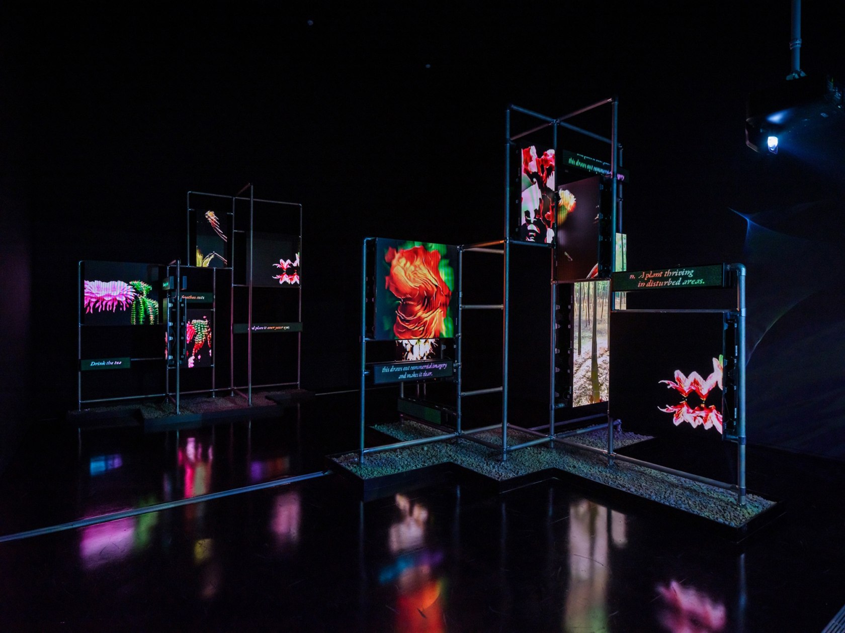 Exhibition view: A Sea of Data, National Museum of Modern and Contemporary Art, Korea (MMCA), 2022. Photo © Hong Cheolki