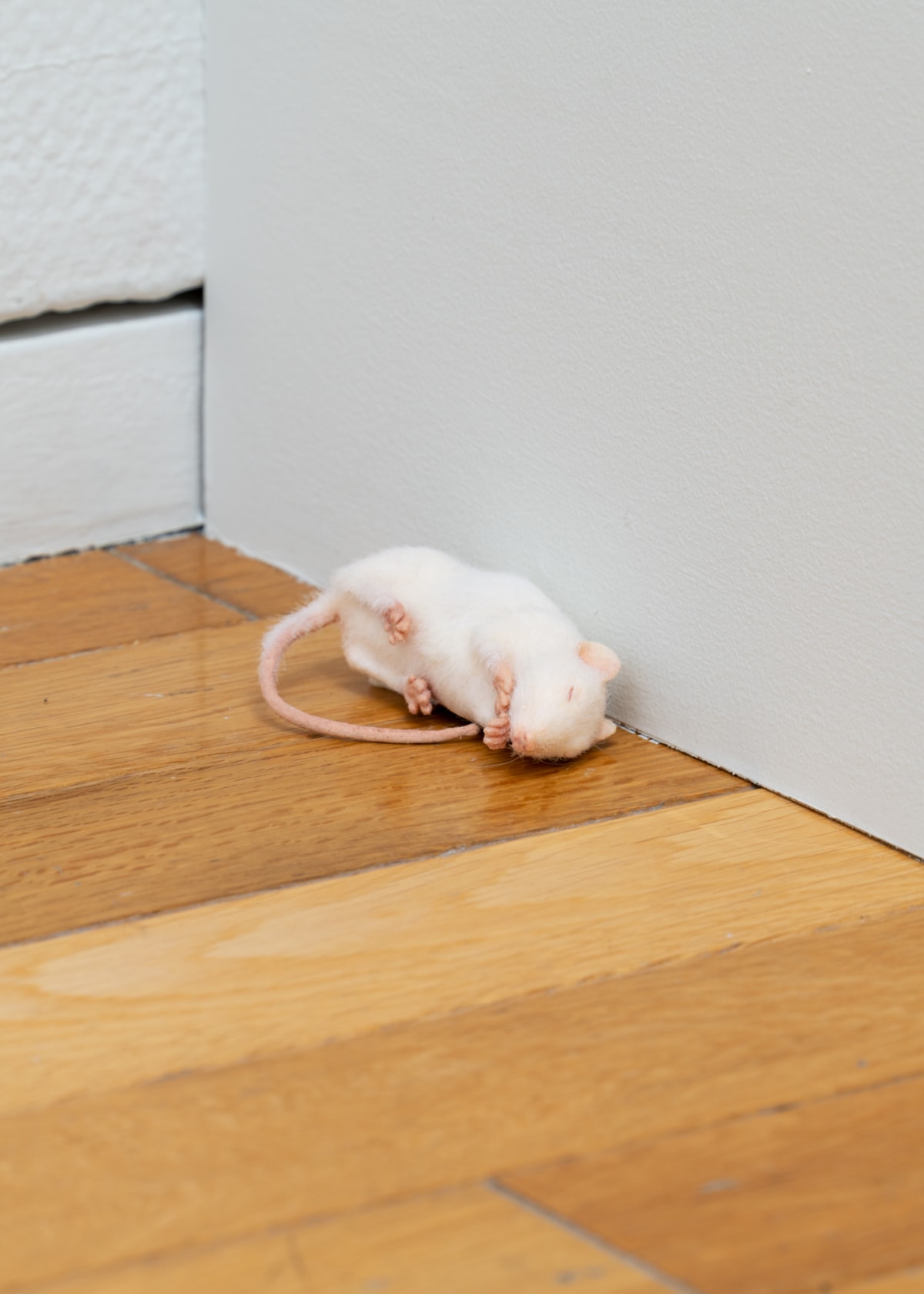 Exhibition view: The Markers of Our Time, Tokyo Opera City Art Gallery, 2022