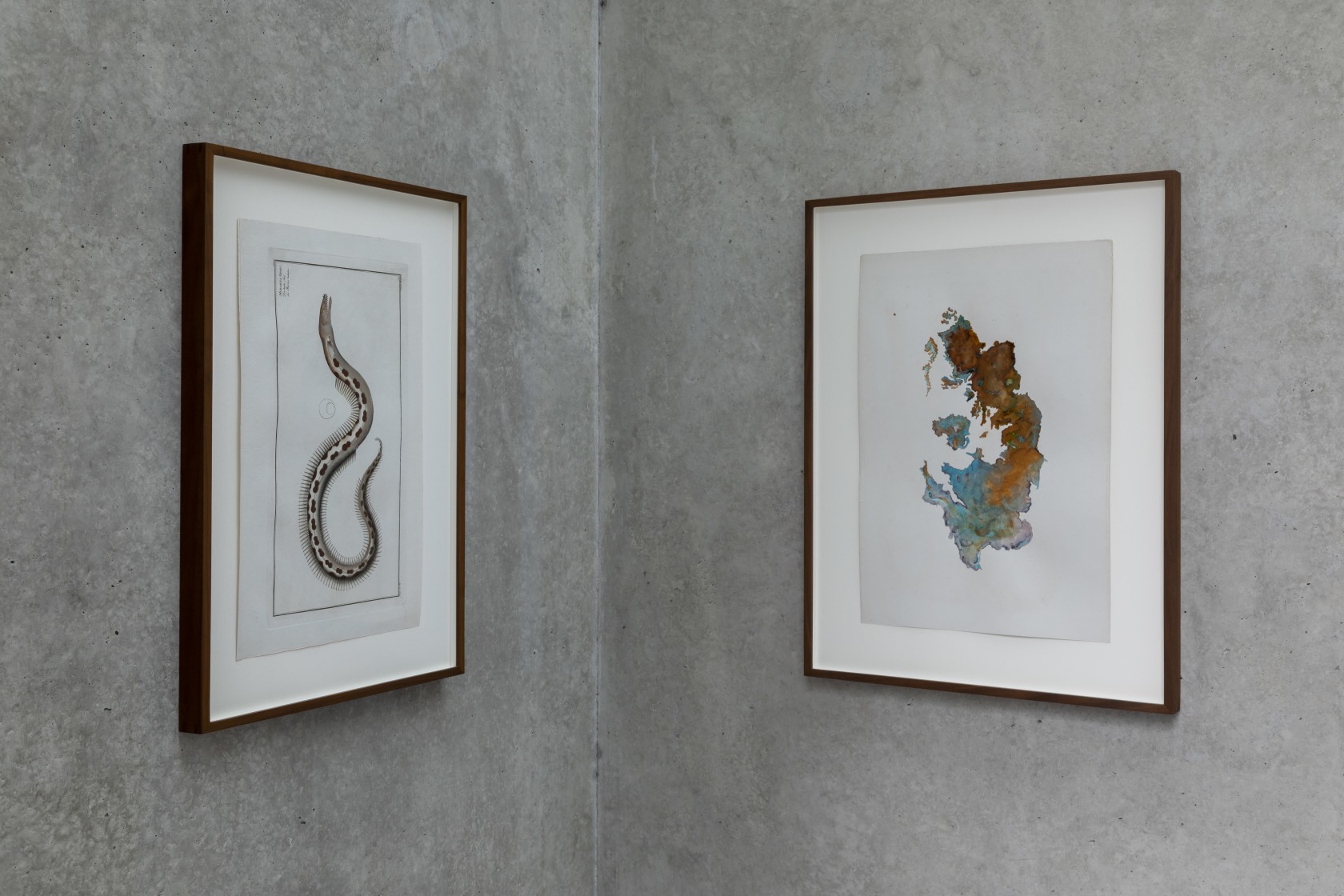 Exhibition view: Anri Sala, Kunsthaus Bregenz, Bregenz, 2021, © Anri Sala, Bildrecht Wien. Photo © Markus Tretter