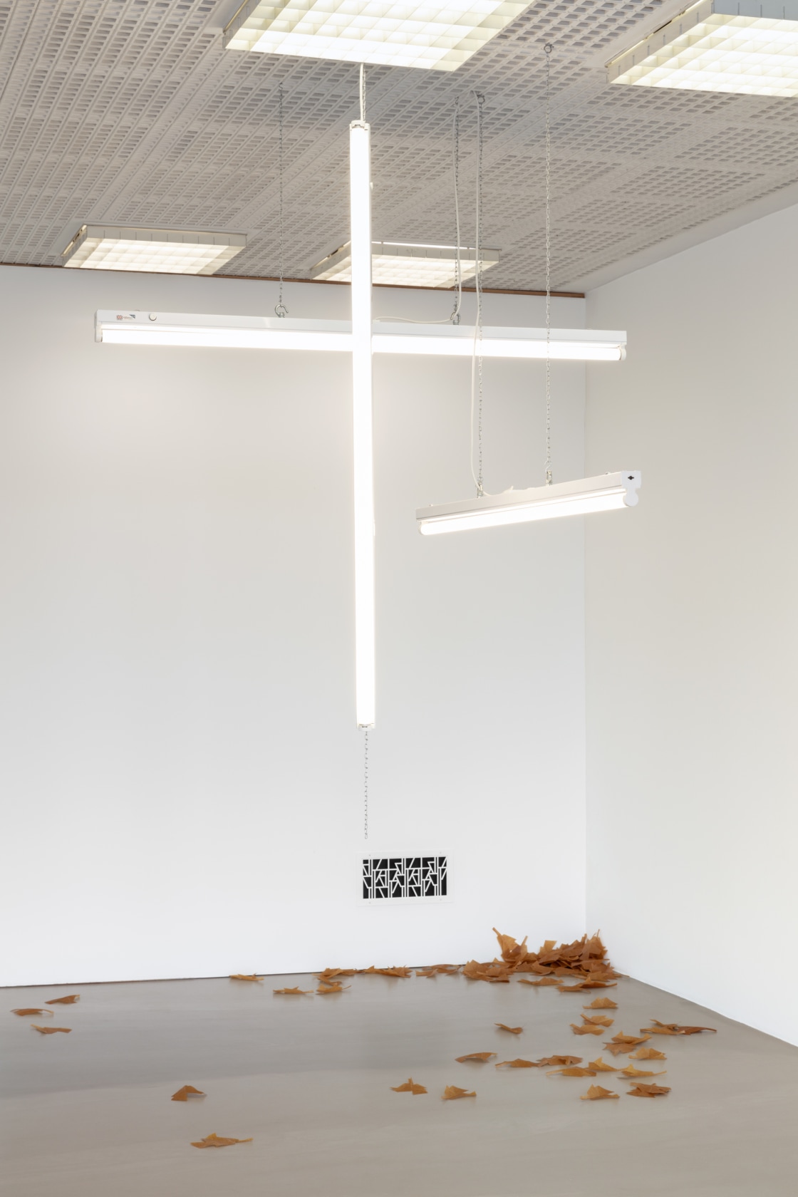 Exhibition view: Recurring Dreams, FAHRBEREITSCHAFT, haubrok foundation, Berlin, 2021. Photo © Andrea Rossetti