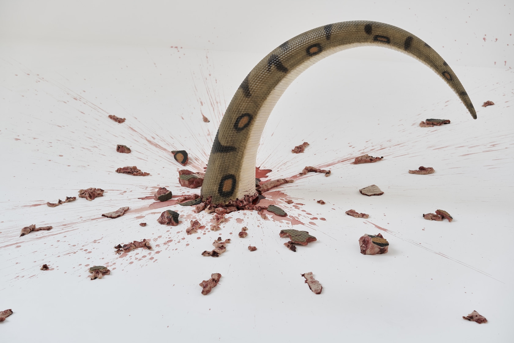 Exhibition view, Tao Hui, Searing Pain, Aranya Art Center, Hebei Province, 2022—2023 Photography: Sun Shi. © Tao Hui