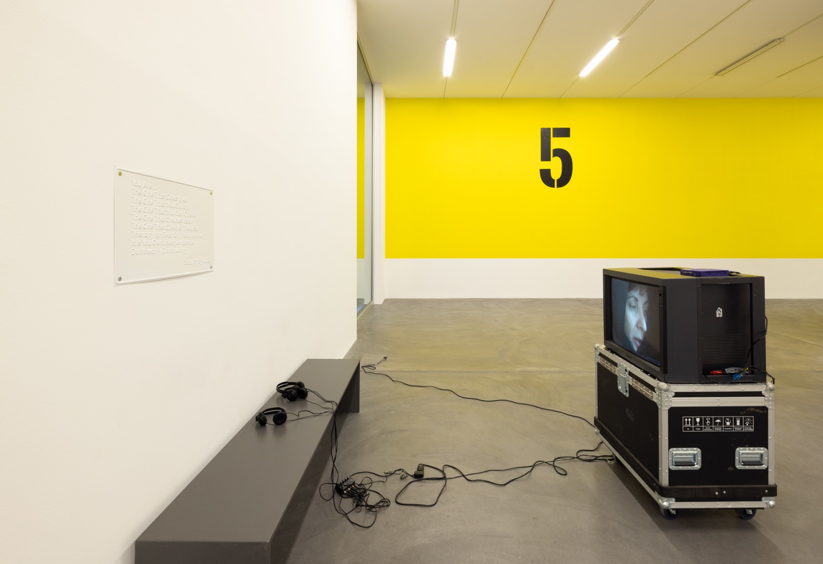 Exhibition view: Julia Scher, Maximum Security Society, Kunsthalle Zürich, Zürich, 2022. Photo © Andrea Rossetti