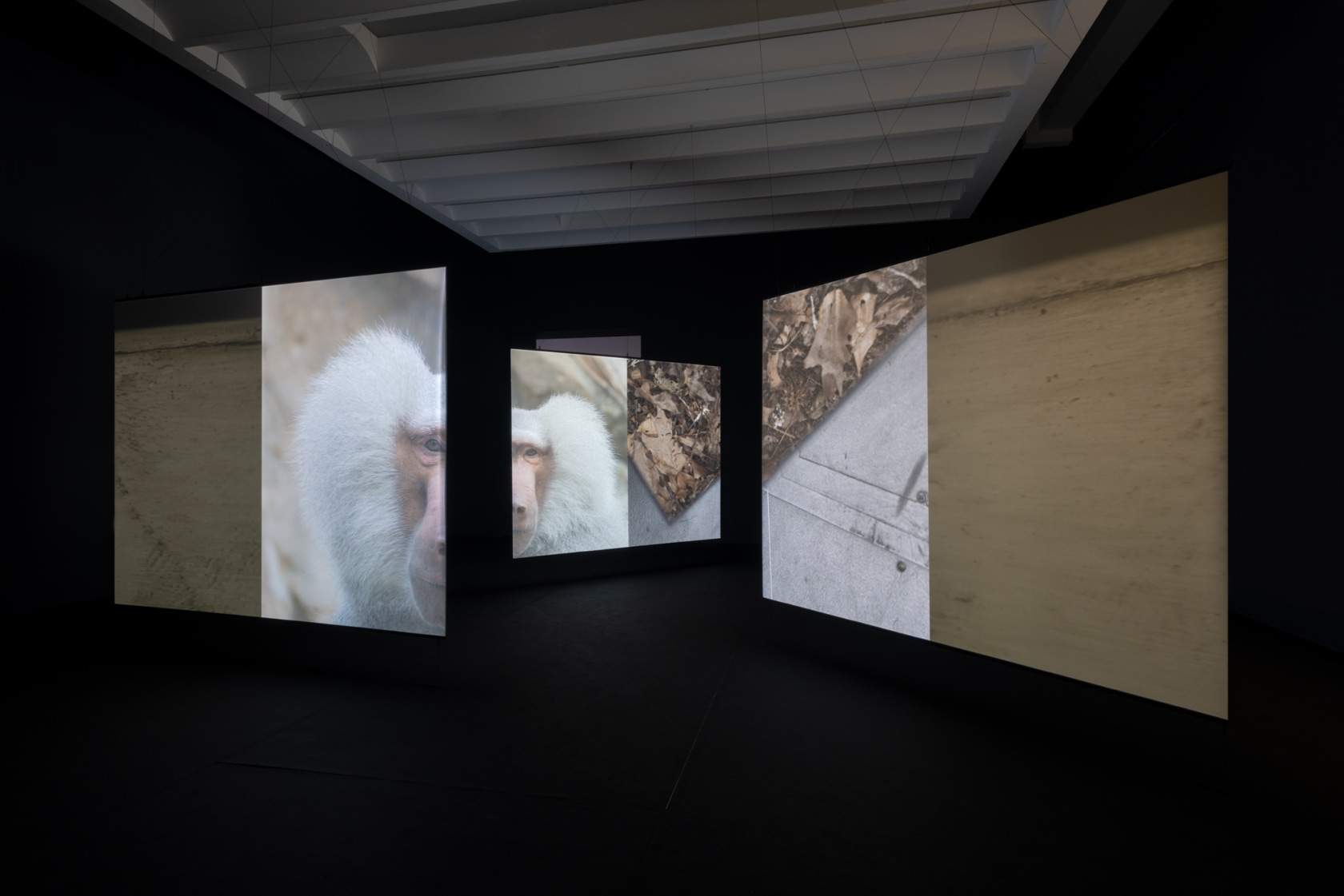 Exhibition view: Etienne Chambaud, Lâme, LaM, Lille Métropole Musée d'art moderne, d'art contemporain et d'art brut, 2022. Photo © Andrea...