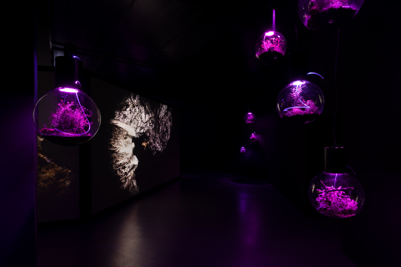 Exhibition view: Hito Steyerl, Contemporary Cave Art, Esther Schipper, Berlin, 2023. © The artist / VG Bild-Kunst, Bonn 2023. Photo...