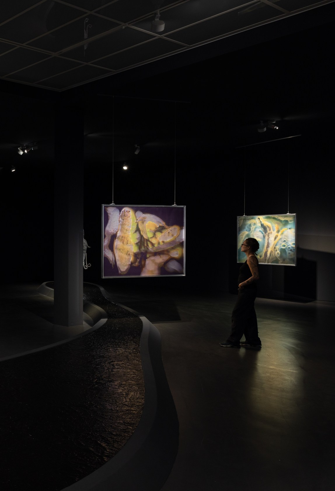 Exhibition view: Anicka Yi, A Shimmer Through The Quantum Foam, Esther Schipper, Berlin, 2023. © Anicka Yi / VG Bild-Kunst,...