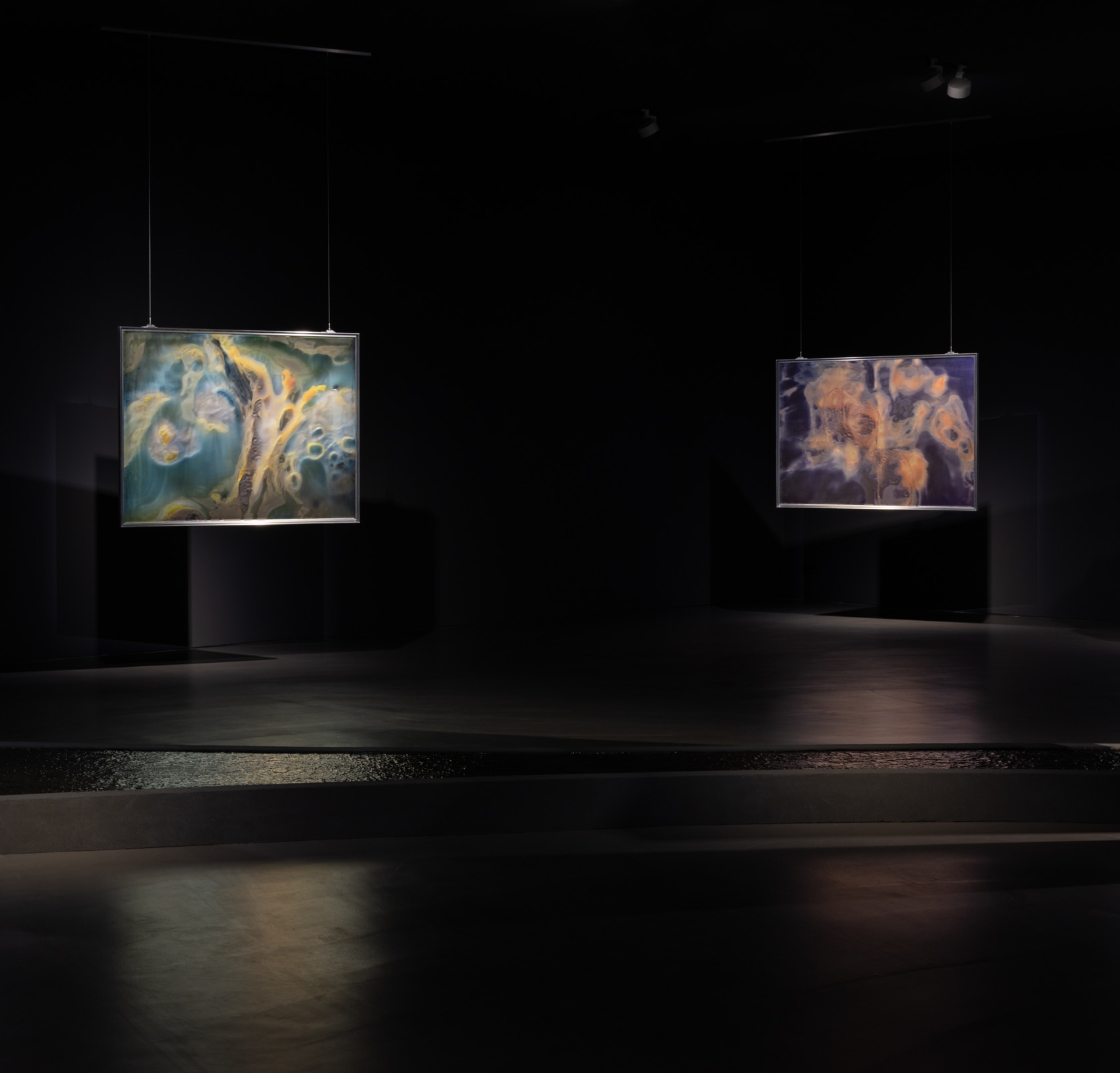 Exhibition view: Anicka Yi, A Shimmer Through The Quantum Foam, Esther Schipper, Berlin, 2023. Photo © Andrea Rossetti