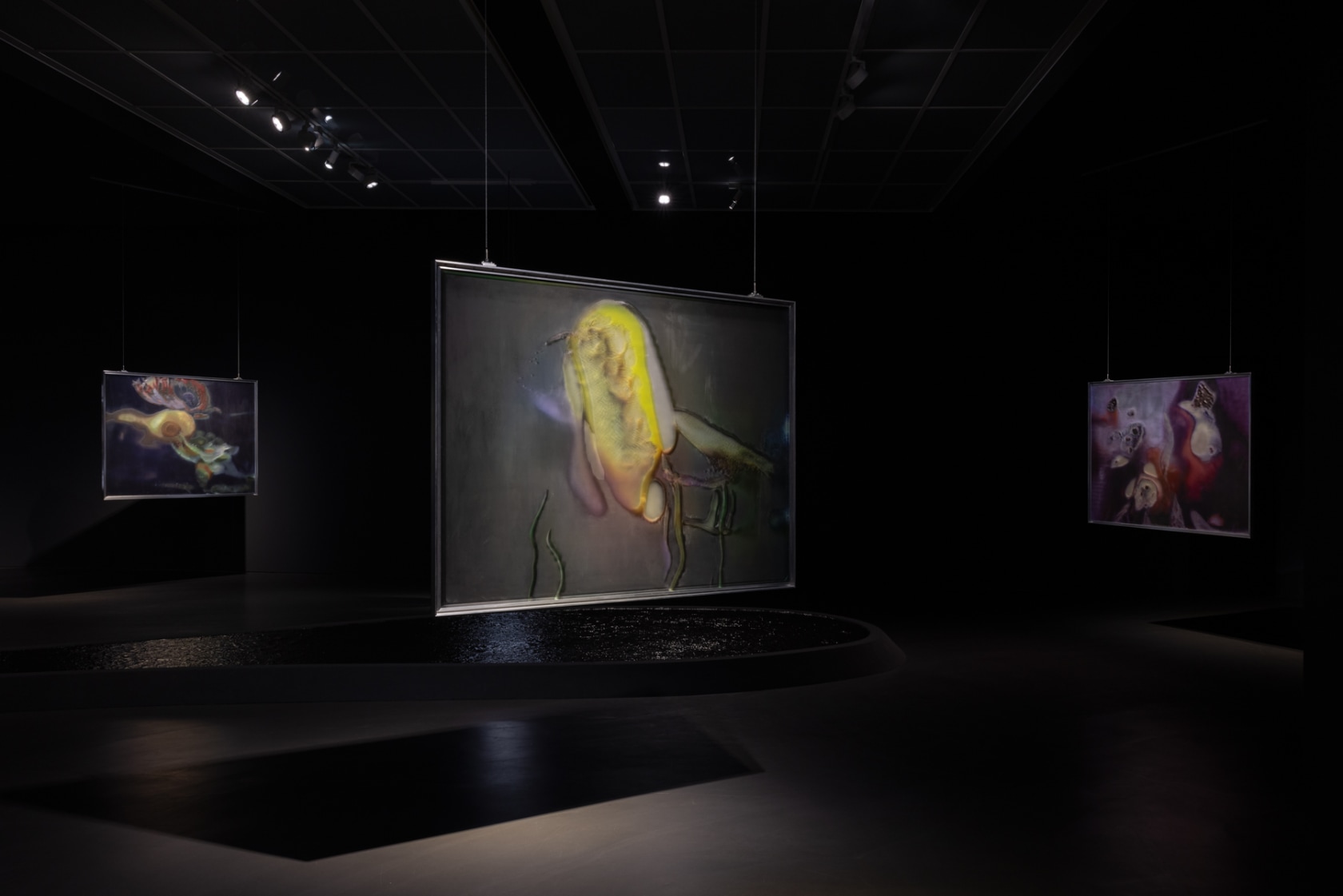 Exhibition view: Anicka Yi, A Shimmer Through The Quantum Foam, Esther Schipper, Berlin, 2023. © Anicka Yi / VG Bild-Kunst,...