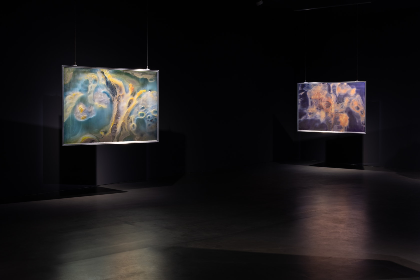 Exhibition view: Anicka Yi, A Shimmer Through The Quantum Foam, Esther Schipper, Berlin, 2023. Photo © Andrea Rossetti