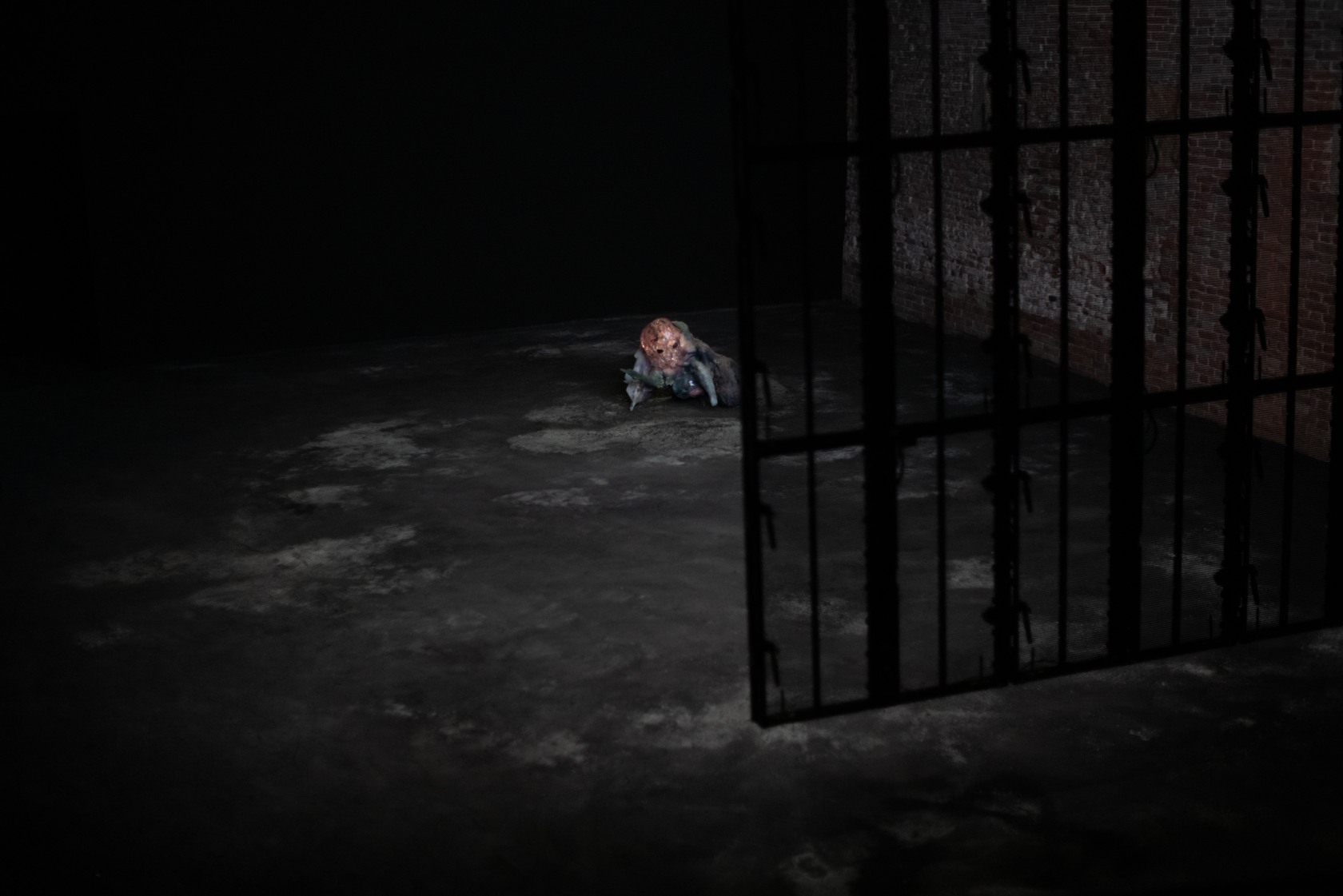 Exhibition view: Pierre Huyghe, Liminal, Punta della Dogana – Pinault Collection, Venice, 2024. Photo © Ola Rindal