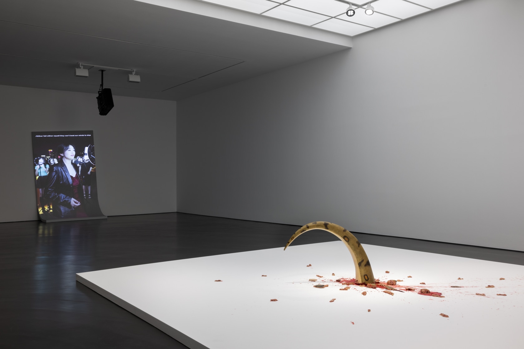 Exhibition view: Tao Hui, We, Entertainment, Esther Schipper, Berlin, 2023. Photo © Andrea Rossetti